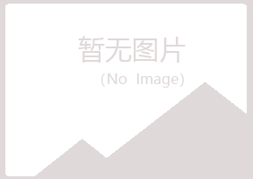 千山区歪斜会计有限公司